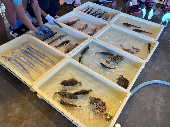 LINE_ALBUM_20230629-【水橋】米山小学校_23