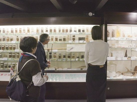 富山の薬文化を巡るバスツアー 飴づくり・和漢薬・薬研体験・やくぜん料理で学ぶ薬都とやまの歴史旅＜富山駅発着＞