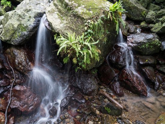 【貸切】奄美大島 南部観光タクシー モダマ群生地や展望台など名所を自由に満喫する旅＜3～8時間／1～9名＞ by 大島タクシー