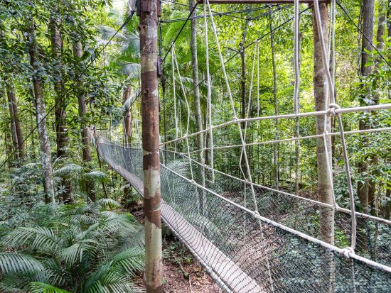 【都市間送】クアラルンプール市内 ⇔ キャメロンハイランドまたはクアラタハン（タマン・ヌガラ国立公園） ＜最大定員12名／貸切／英語ドライバー＞