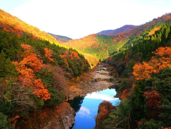 紅葉の神通峡と猪谷関所巡るバスツアー 秋色の絶景と江戸の記憶をたどる旅＜昼食付／富山駅発着＞