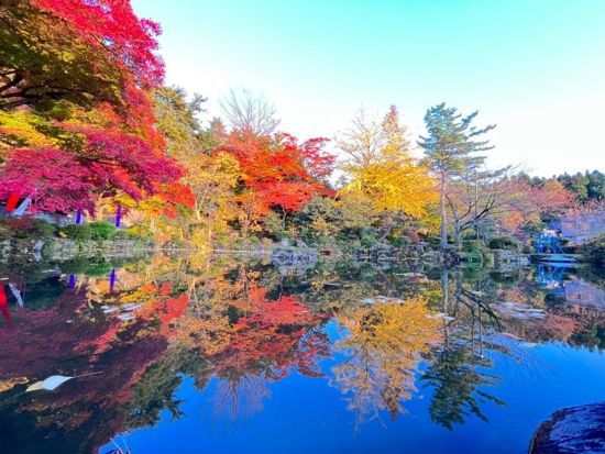 紅葉の神通峡と猪谷関所巡るバスツアー 秋色の絶景と江戸の記憶をたどる旅＜昼食付／富山駅発着＞