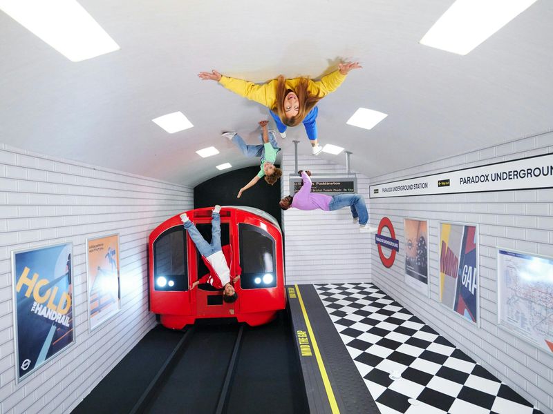 26e541dc494d40aab314f4eb22a21856