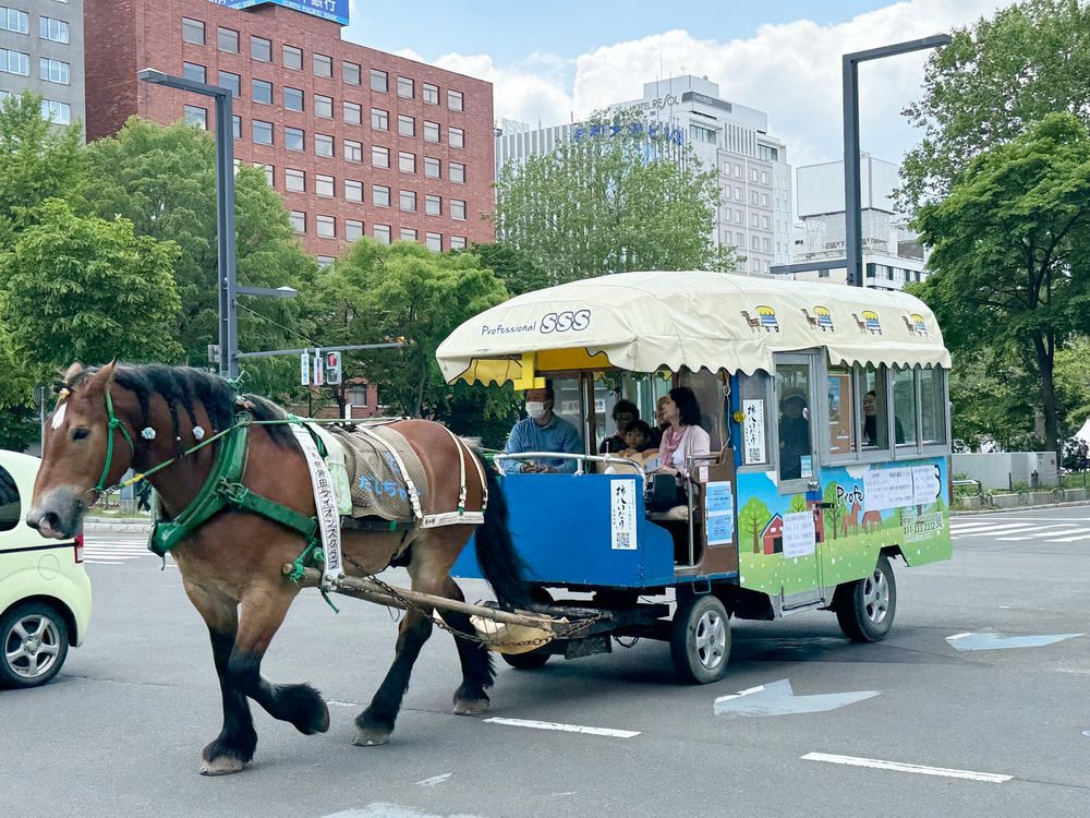観光馬車「札幌まち馬車」 元ばんえい競馬の競走馬だいちゃんに乗って 