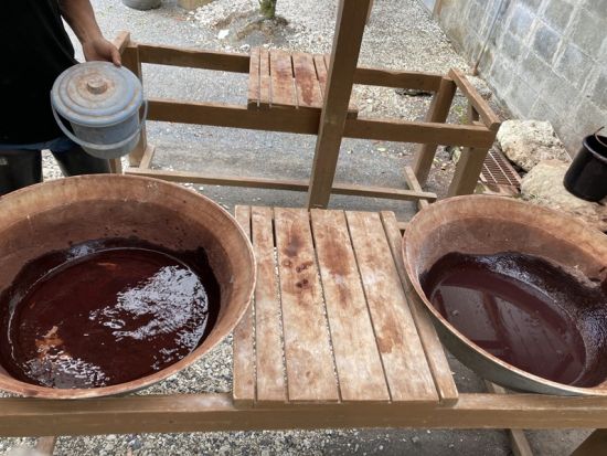 【貸切】奄美大島 北部観光タクシー 自然と文化を感じる感動の旅＜3～6時間／1～9名＞ by 大島タクシー