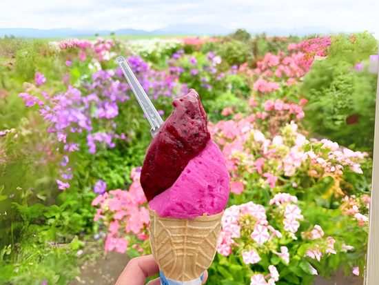 lakehillfarm_sotoasobu