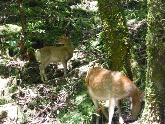 2009_0921富士通パソコン0012