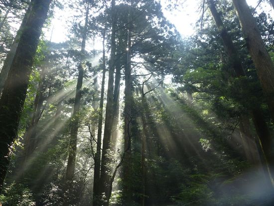 2010_0822富士通パソコン0017