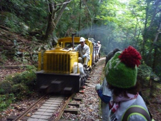 白谷雲水峡半日（苔むす森まで）トレッキングツアー＜宮之浦～安房エリア送迎可能＞ by 屋久島の輪