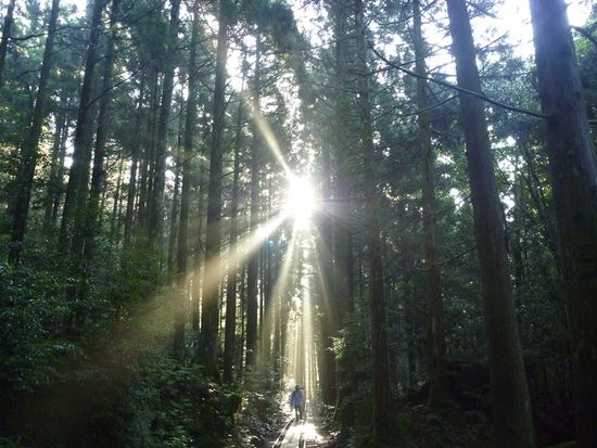 2009_0922富士通パソコン0016