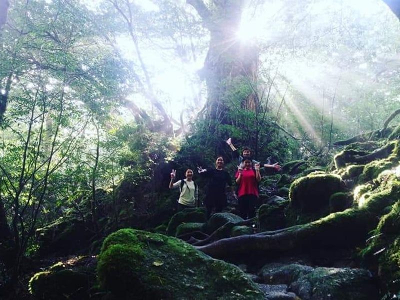 FB_IMG_1549266580635