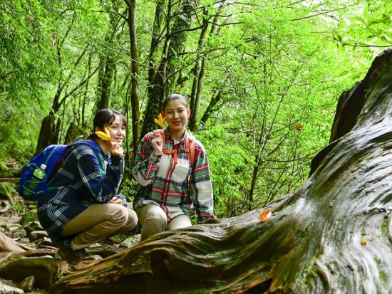 縄文杉と白谷雲水峡（苔むす森まで）2日間トレッキングツアー by 屋久島の輪