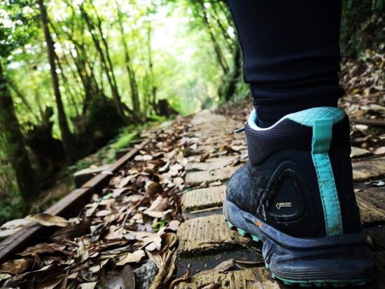 縄文杉日帰りトレッキングツアー　屋久島で唯一環境省のエコツーリズム研修を受講認定済み by 屋久島の輪