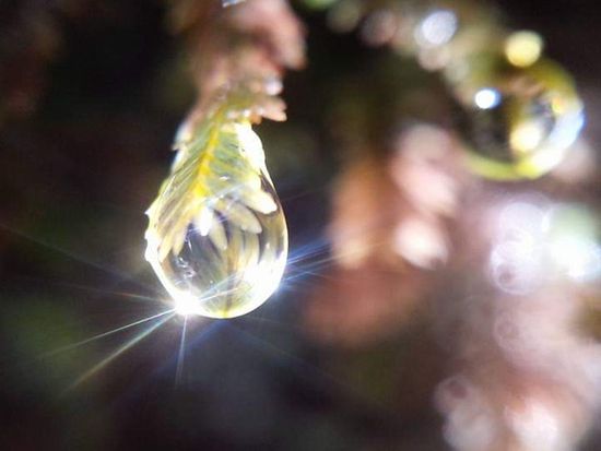 FB_IMG_1549266896013