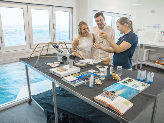 Reef Indulgence V2-69_000