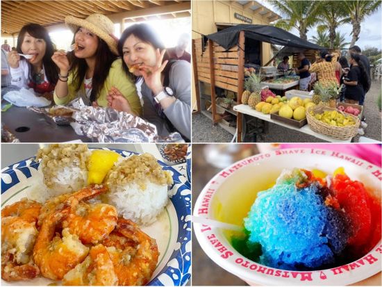 オアフ島1日観光　ノースショア（ハレイワ）観光とワイケレアウトレット　ジョバンニのガーリックシュリンプ付きB級グルメツアー