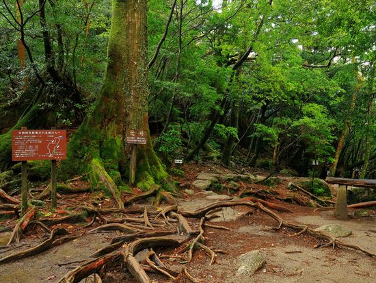 pixta_40245548_辻峠M