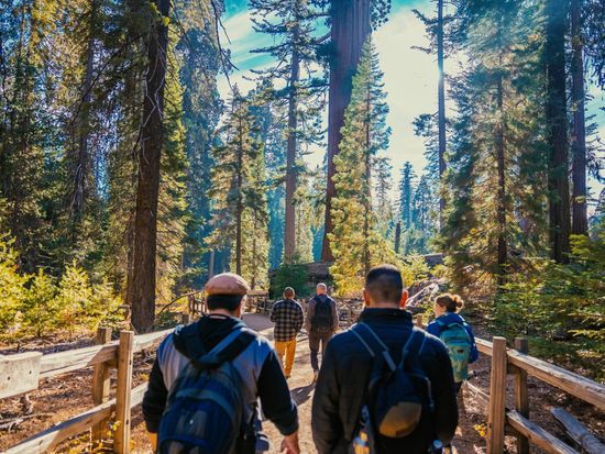 Yosemite and Giant Sequoias Day Tour _ from San Francisco 3