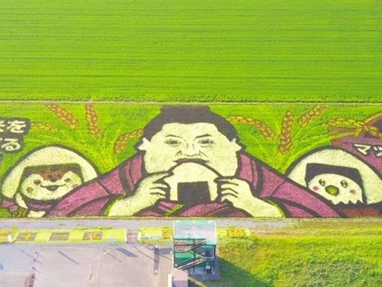 fea7e5ba48a43544aca3688c02b36942