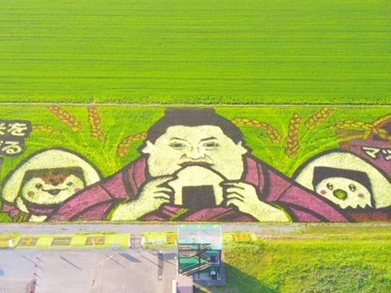 fea7e5ba48a43544aca3688c02b36942