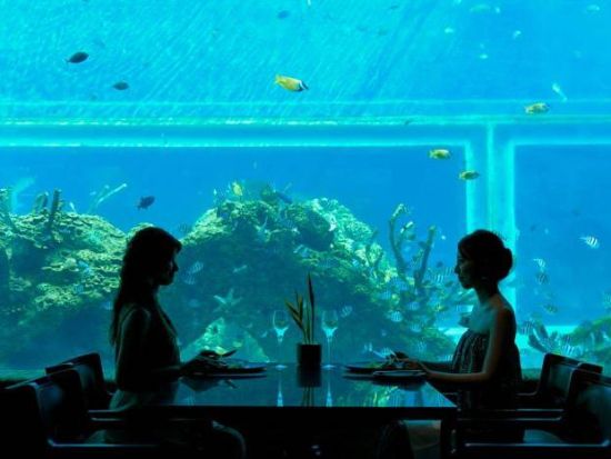 まるで水族館！ジ アプルバ ケンピンス内「コーラル・レストラン（Koral）」ディナー食事券＆事前予約 ＜トンネル席指定プランあり／送迎付き＞