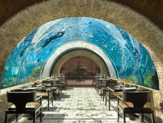 まるで水族館！ジ アプルバ ケンピンス内「コーラル・レストラン（Koral）」ディナー食事券＆事前予約 ＜トンネル席指定プランあり／送迎付き＞