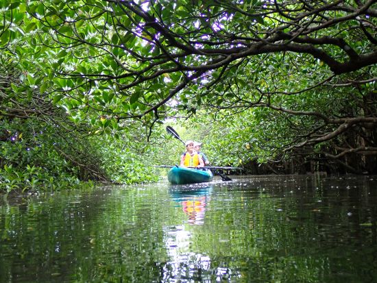 貸切マングローブカヤックツアー 1組限定のプライベートツアーで大自然を探検 カヤックでマングローブ林を巡る特別なひととき＜午前or午後／写真データ無料／石垣島＞