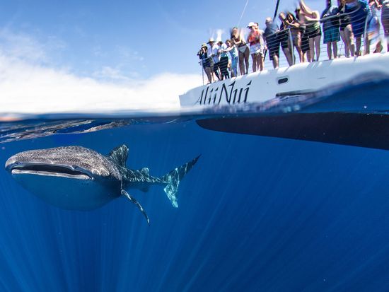 Website Photos_0004s_0001_Layer 11