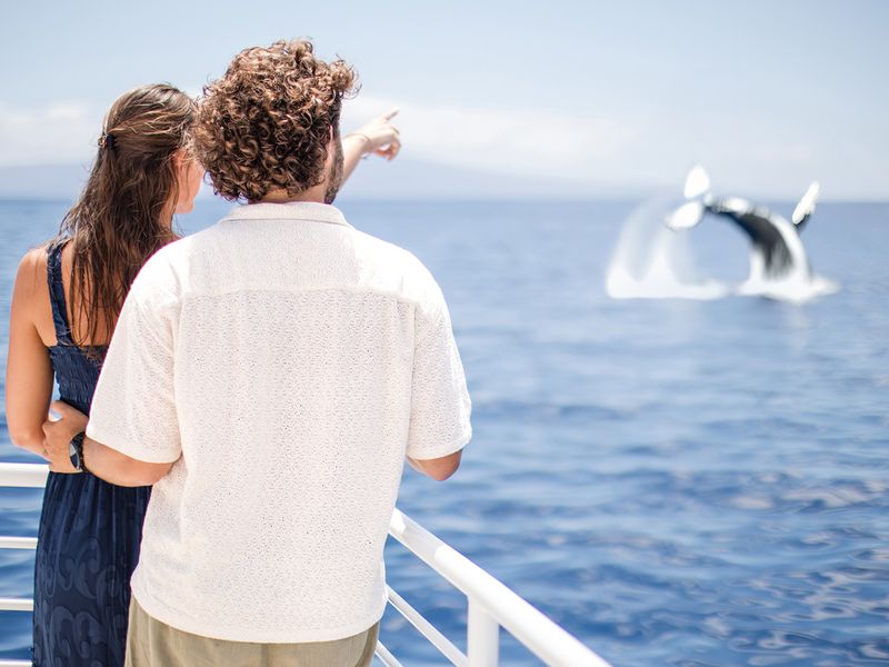 Website Photos_0002s_0010_Layer 21