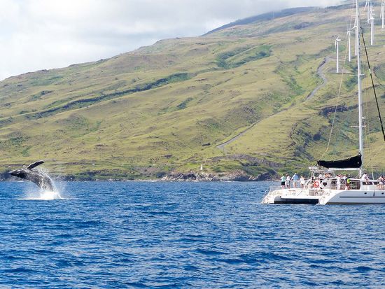 Website Photos_0002s_0007_Layer 24