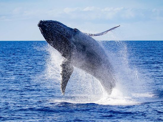 Website Photos_0002s_0001_Layer 30