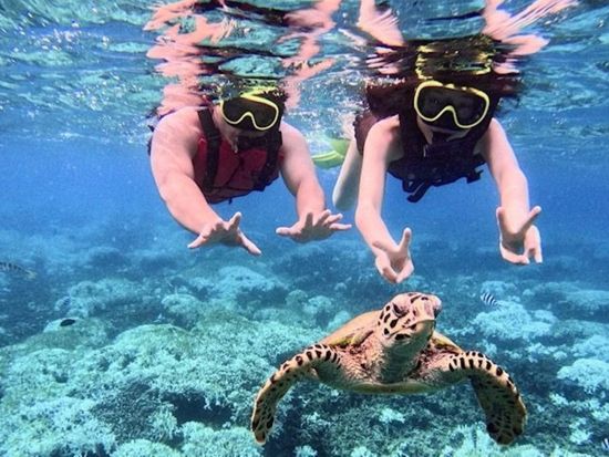 瀬底島パラセーリング 空と海が織りなす絶景の中で空中散歩 選べるバナナボート＋シュノーケリング付プランあり◎＜3～10月／GoProデータ付／瀬底島＞