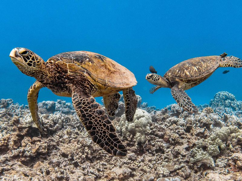 Website Photos_0003s_0003_Layer 18