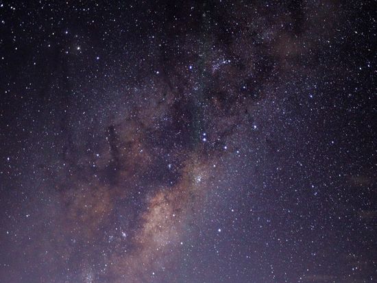 Credit photo Liam Foster