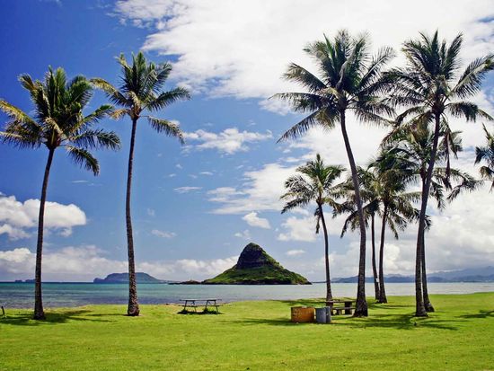 shutterstock_1120037444