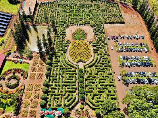 shutterstock_1357341797