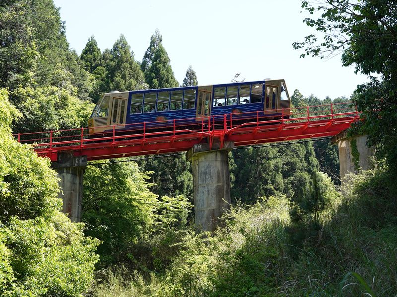 15CN7_3c55578a-4ec3-4bbc-913e-56