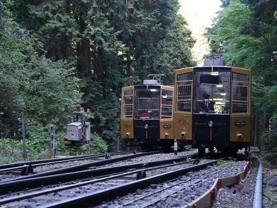 15CN7_71c66408-1210-4e5e-8e5e-cf