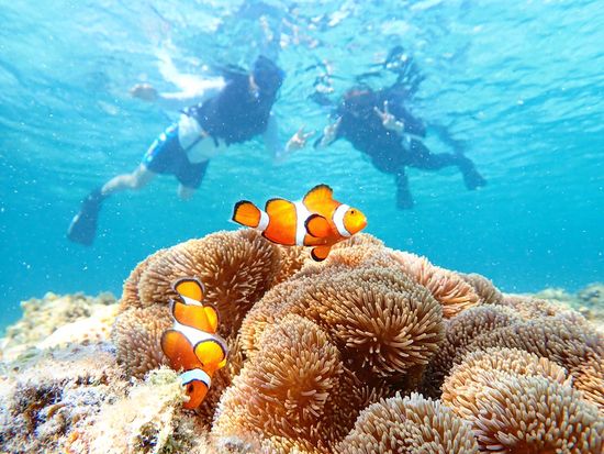 C5E3F5B8-8213-493B-8068-9828619DFD0F