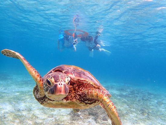 E994E0CA-59B3-49D9-A6D7-C1509140429B