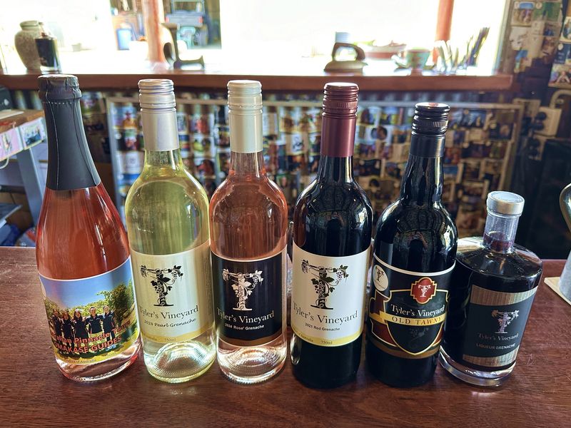 Tylers vineyard1