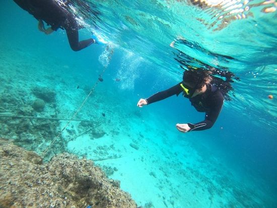 image0-Jul-07-2025-06-26-57-3928-AM