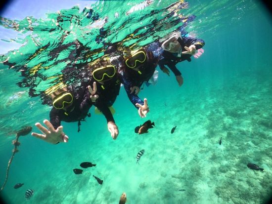 ボートシュノーケル 無人島沖の「フラワーガーデン」で熱帯魚とサンゴを見に行こう！誰でも気軽に本格体験◎＜約90分／浜比嘉ムルク浜ビーチ＞