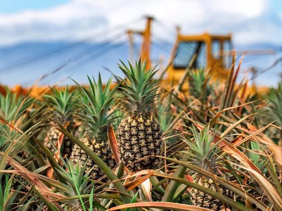 70741228_1341153642718985_6735187058672795648_n