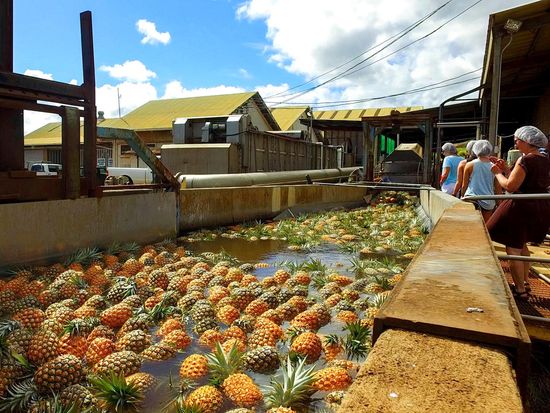 DJI_0009.MOV.00_00_05_15.Still001-1-scaled