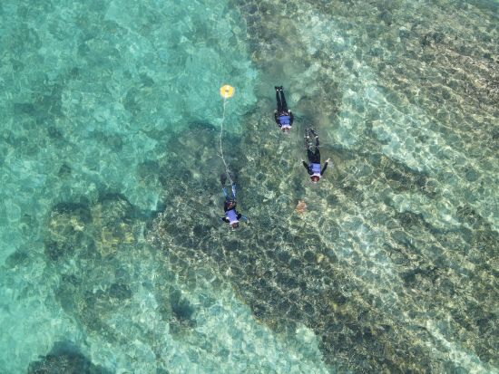 奄美大島〈お得なセットプラン〉【シュノーケル+ナイトツアー】世界遺産認定の島！ドローン・ゴープロ撮影無料！お一人様も可能by 奄美シーランド