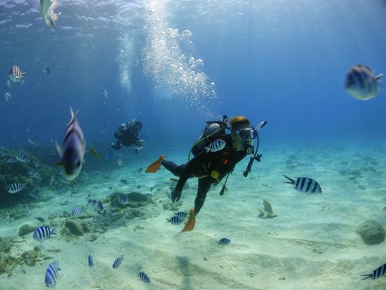 慶良間諸島 ボート体験ダイビング＆シュノーケリングツアー ライセンス不要！気軽に海の世界を満喫◎SNS映え写真&動画無料プレゼント＜1日／送迎可／沖縄本島＞
