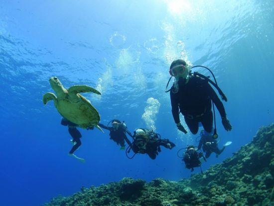 慶良間諸島 ボート体験ダイビング＆シュノーケリングツアー ライセンス不要！気軽に海の世界を満喫◎SNS映え写真&動画無料プレゼント＜1日／送迎可／沖縄本島＞