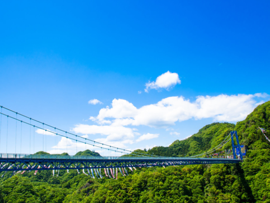 【東京発着】茨城日帰りバスツアー 阿字ヶ浦海岸＋JR日立駅＋竜神大吊橋＜英中対応＞