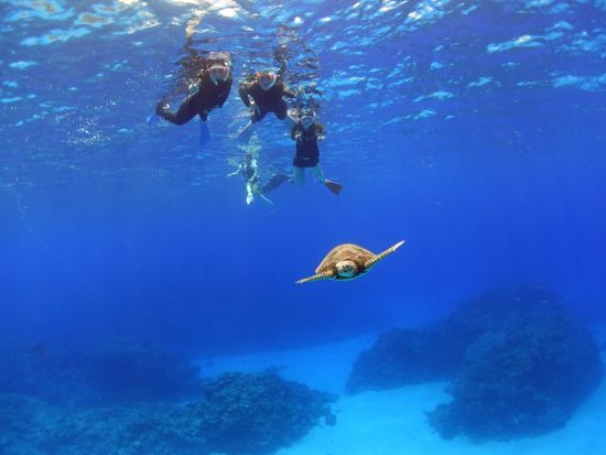慶良間諸島シュノーケル体験 ボートで行く！一面に広がるサンゴと熱帯魚の世界へ！初心者OK・写真プレゼント付き♪＜1日／沖縄本島＞